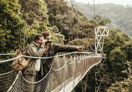 Rocky Mountains View