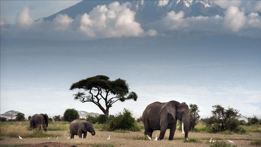 New Zealand - The Adventure Capital